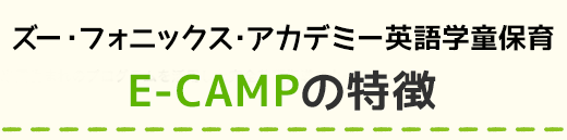 E-CAMPの特徴